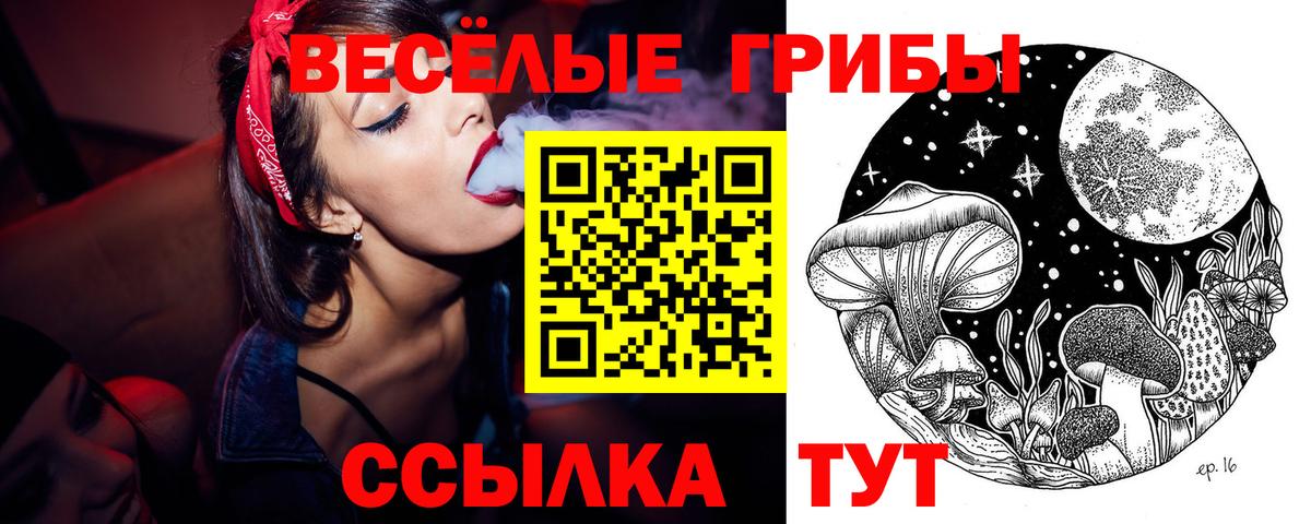 Псилоцибиновые грибы Magic Shrooms Канаш